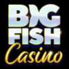 Big Fish Casino